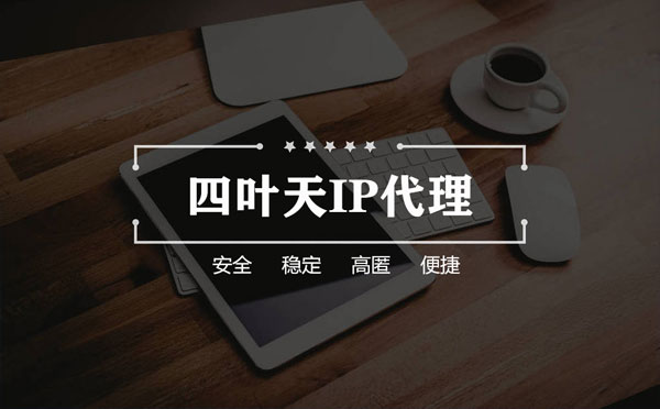 【洛阳代理IP】如何快速搭建代理IP？怎么检查代理的效果？